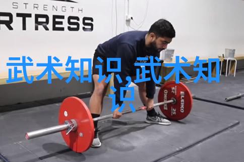 揭秘中国武功秘籍的大全书穿越千年武学宝典