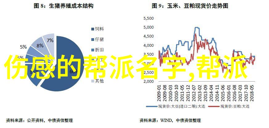 武术万维网官网我在这里学武从零到英雄的网络征程