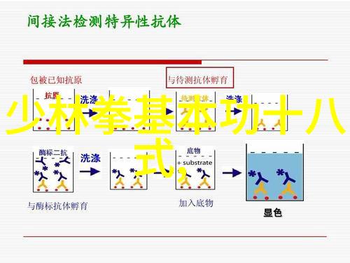 古代武功秘籍考探索中国传统武学文献中的艺术与科学融合