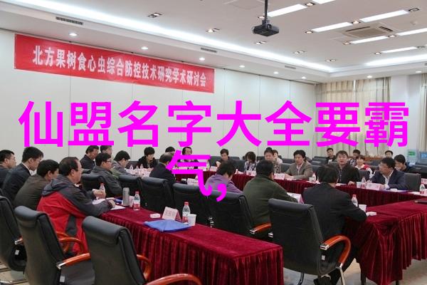 李小龙功夫教学视频中的整劲与寸劲之妙用反复探究其内涵与运用