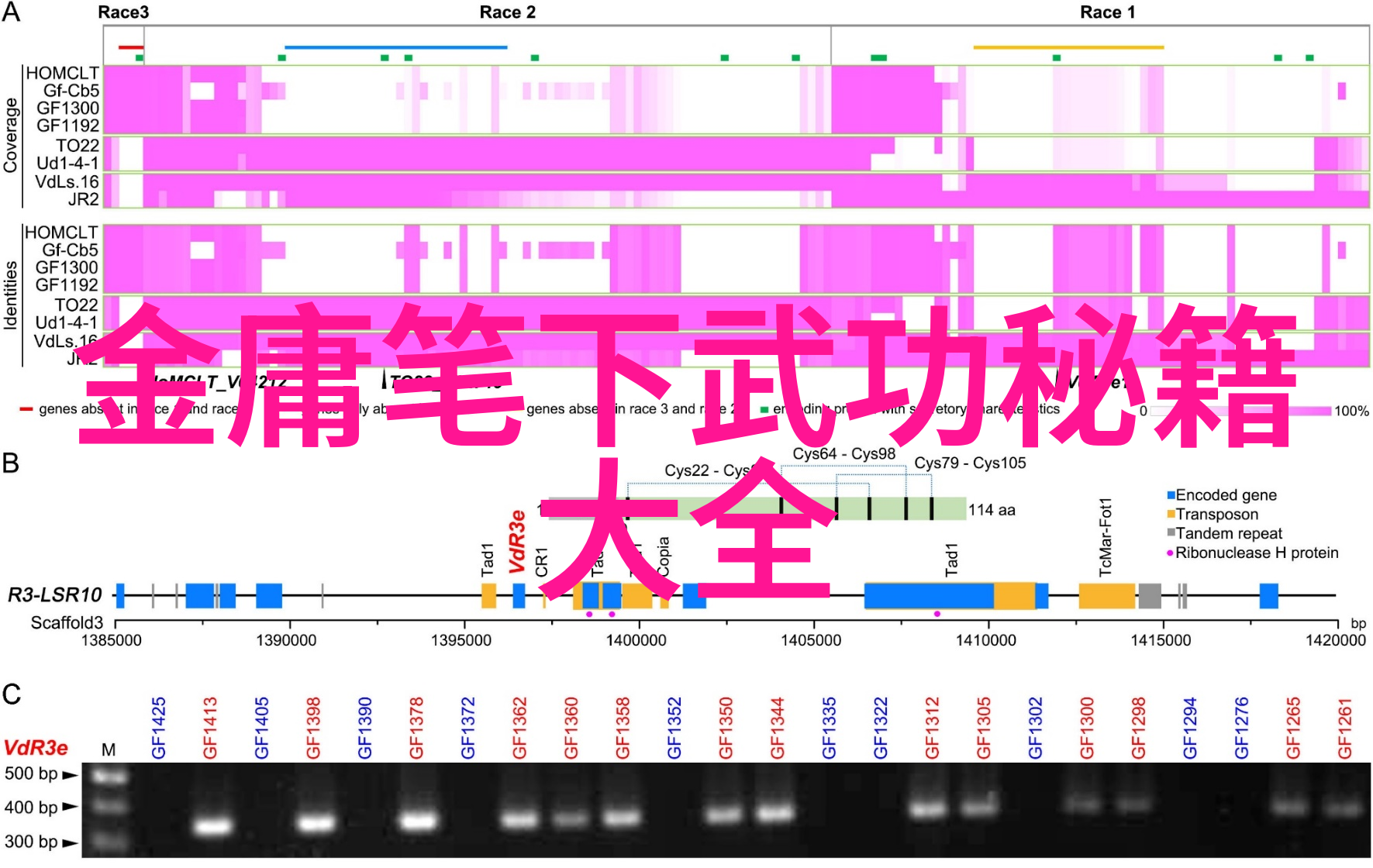 学学习武术套路拳法的好处有哪些对身体健康有益处