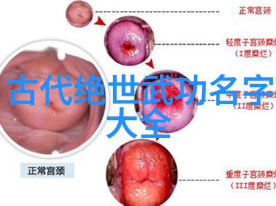 丰满邻居的秘密生活完整版免费观看