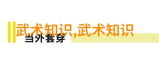 掌握古典风韵48式太极拳全套视频带口令学习指南