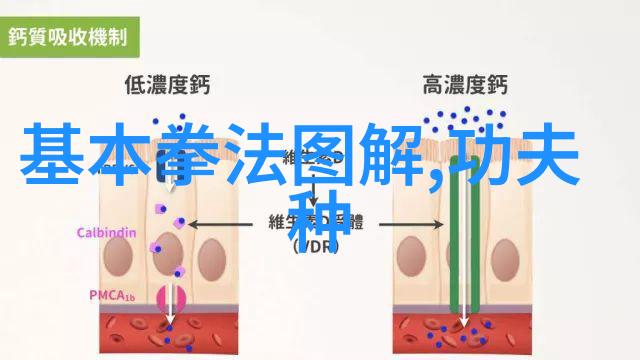 武术资料网揭秘大洪拳三晃膀之谜上