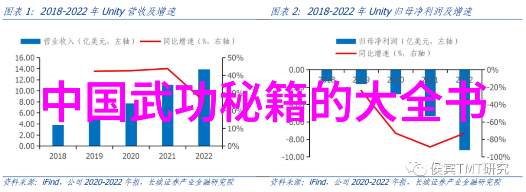 霸道拳谱亿尊武学气息