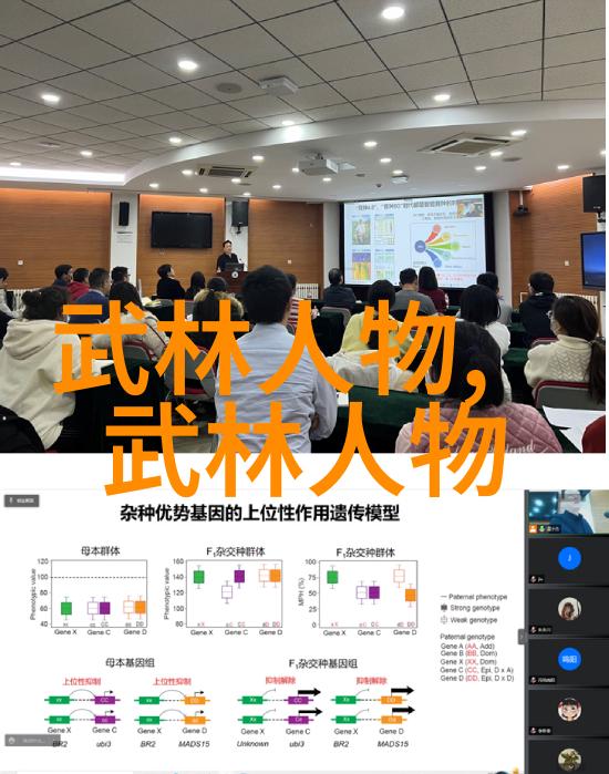 六大门派收入秘籍崆峒派拳道财富之源