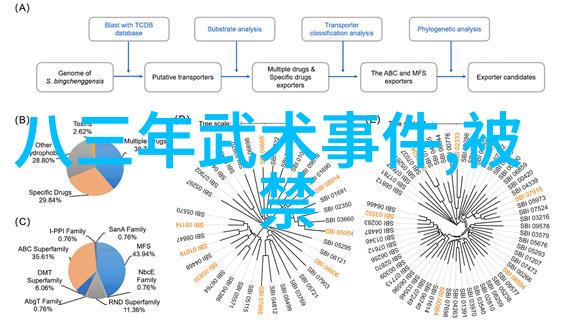 太极拳24式全方位解析每一式详细图解视频指南