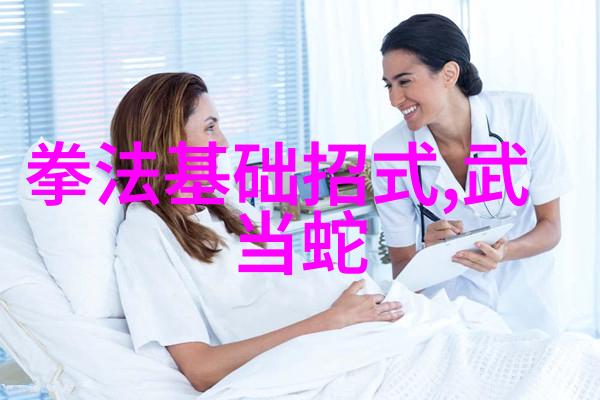 武林秘笈李小龙的内家外功全集