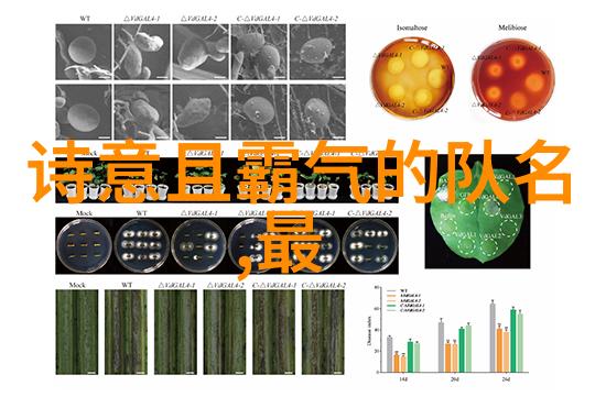 如饥似渴LA.VORACE追逐欲望的狂欢