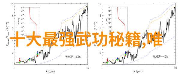 除了传统上流行的少林黄龙等现代还有哪些新兴武学体系值得关注