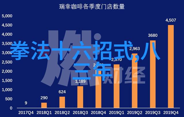 翱翔蓝天法国空姐的星辰之旅