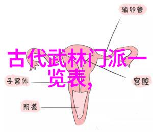 武学研究揭秘拳法之道与技巧的深度探究