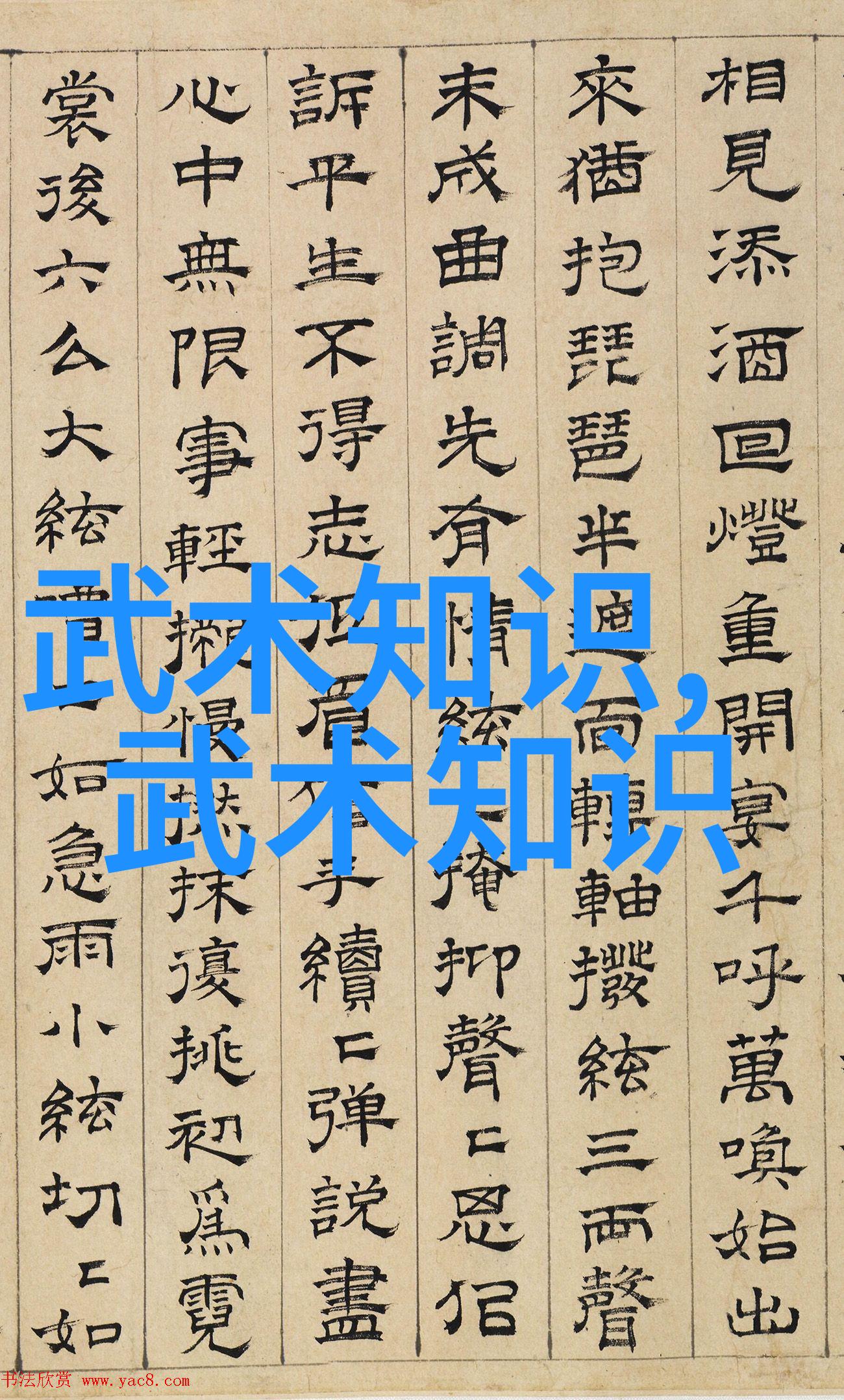 在现代社会探索阴阳转换的智慧通过太极24式分解式的介绍让我们更好地理解和融合虚实两界