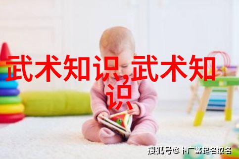 中国武术史上哪些门派被认为是顶尖