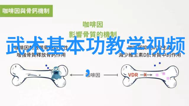 中国武术十大门派之首杨式太极拳古韵悠长内外兼修