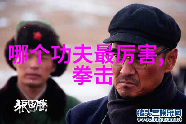 武林至尊天龙门桃花岛和明教哪个更强