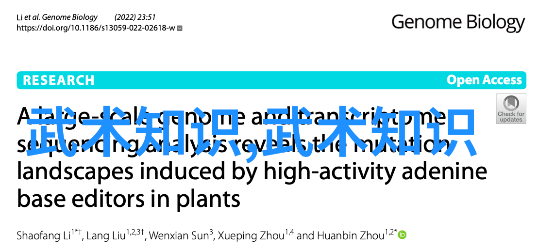 探索第六至第十次之间的连贯性与节奏感能否分享一些实用策略呢