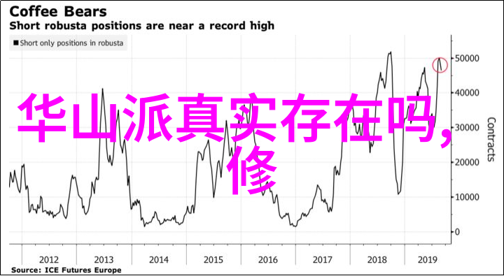 武功门派分类与特性研究探索中华武学文化的多样性与深度