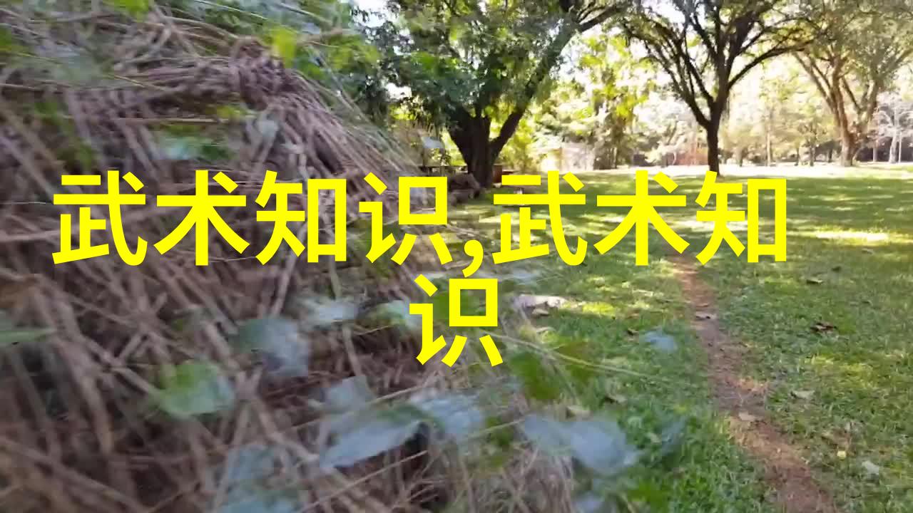 江湖纵横武林门派的兴衰与传说