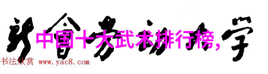 中国传统武术拳法之所以不敢大松大柔难道不是因为我们害怕失去那份精湛的技艺