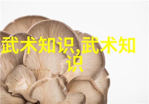 古风帮会守护江湖的荣耀与梦想