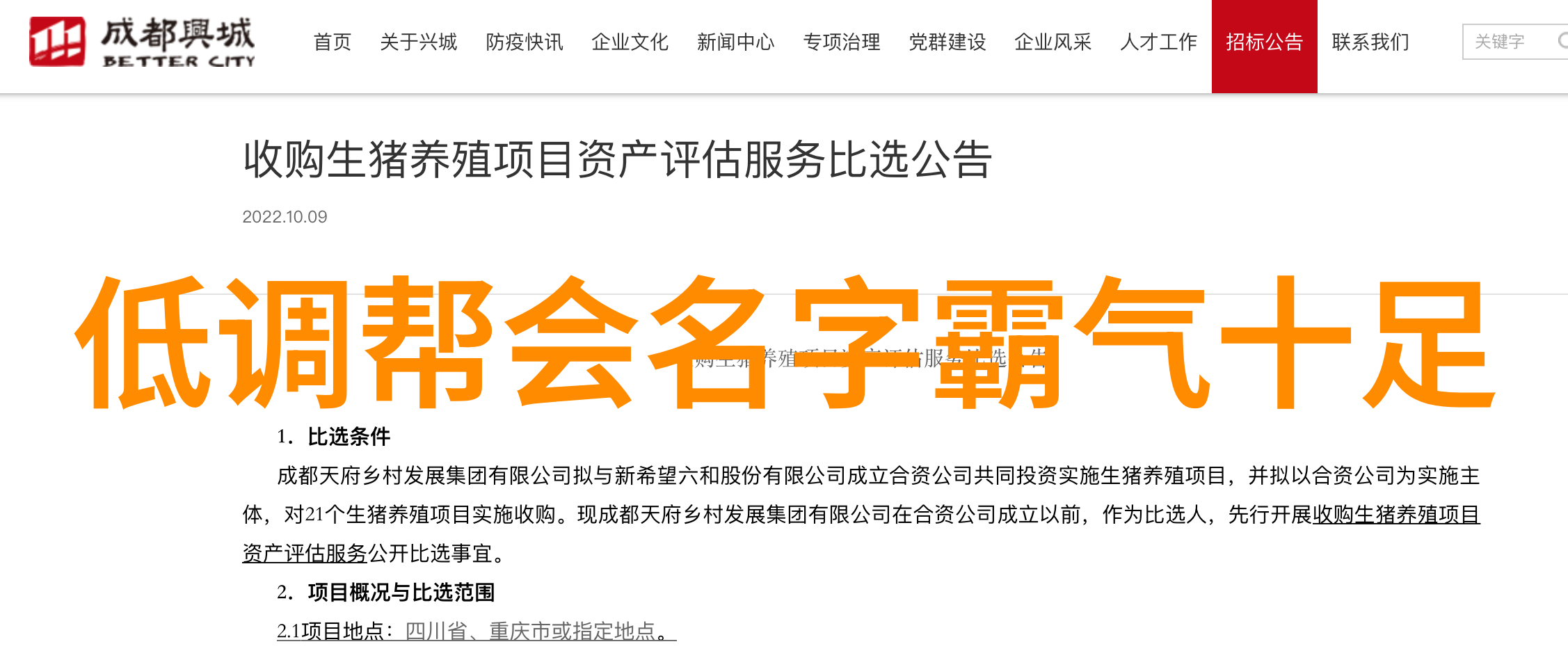 麻豆精品一卡二卡三卡我是如何在麻豆找到了那三张神奇的银行卡的