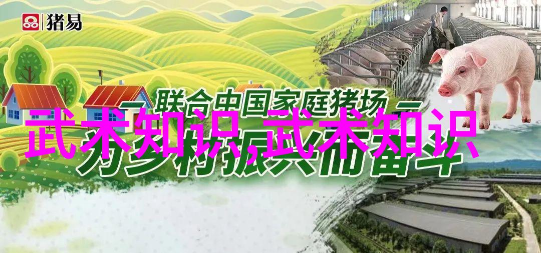 武林秘籍招式大全带图解读古代武术典籍中的武学宝藏与实战技巧