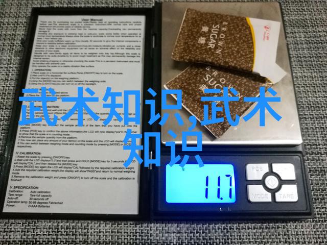 揭秘古老武术32式太极拳拳谱全套分解之谜