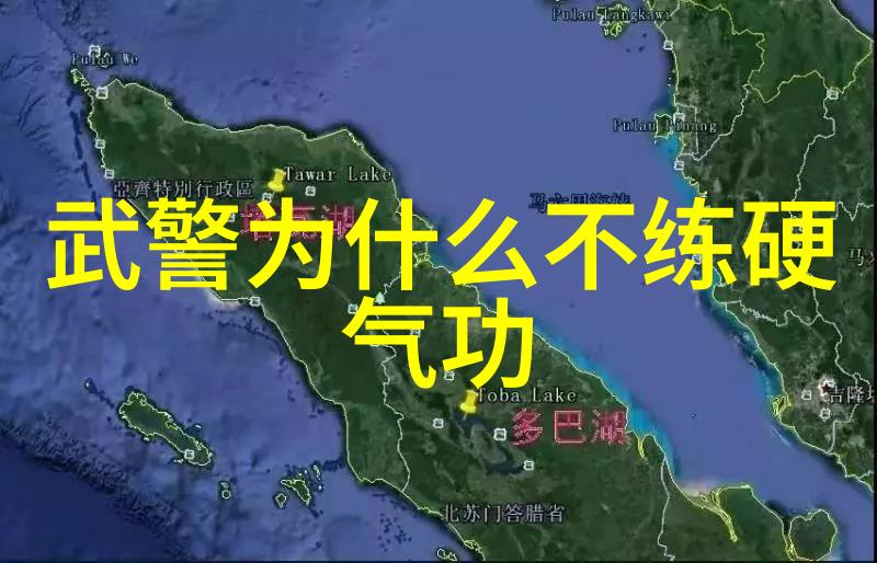 古代武功秘籍口诀洪家拳内外功修养如同江山代有才子出