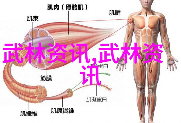 太极24式正面背面的理论基础是什么-路迪民