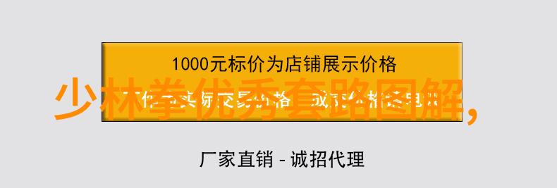 武术自学指南探索适合个人培养的古老技艺