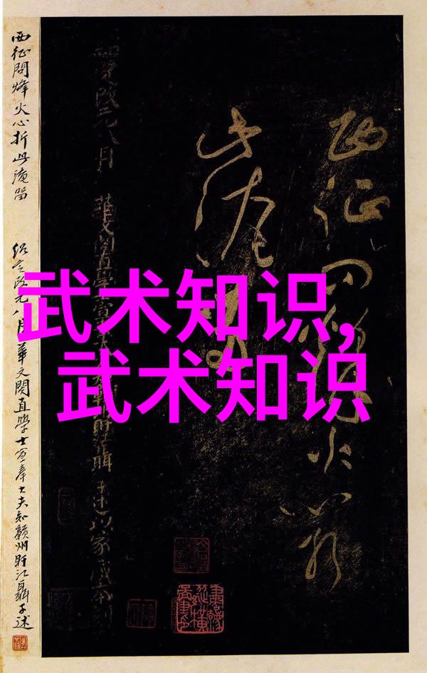 太极拳产业化探索武功自学视频在社会的普及与应用