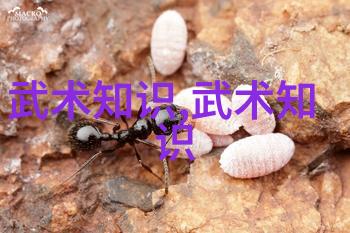 霸气武林帮派名录古龙风帮派名称大全