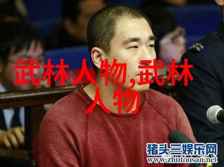 自在家击破三皇炮捶攻防实战精选