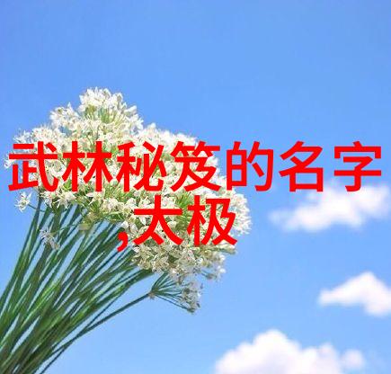 梦幻织女联盟诗意的虚拟角色公会