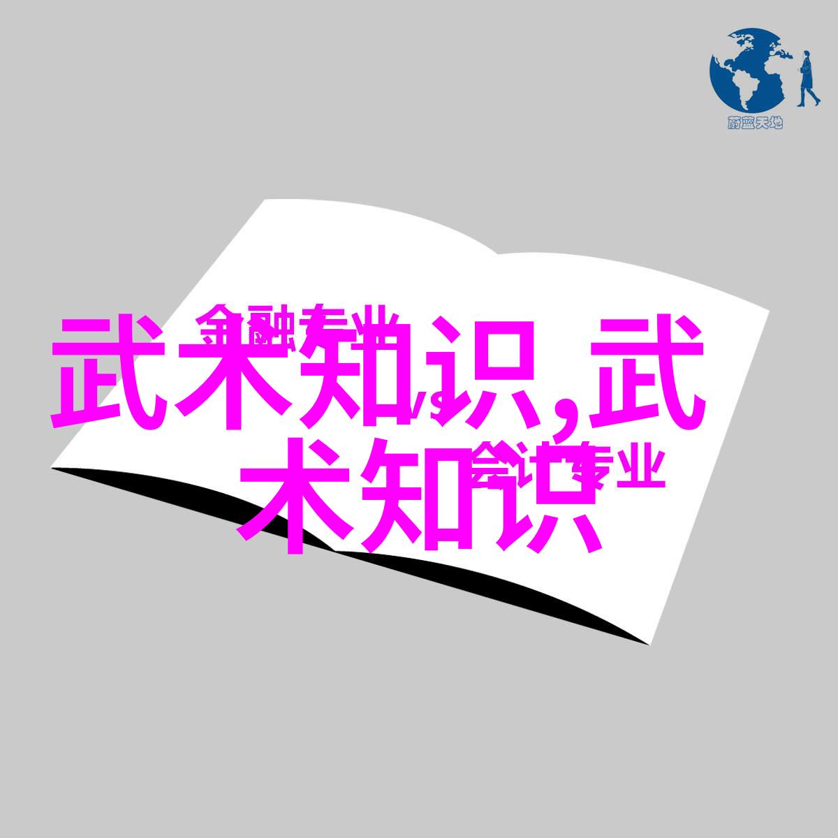 中国武术之魂傅式形意内家拳中国30个武术门派大全的守护者