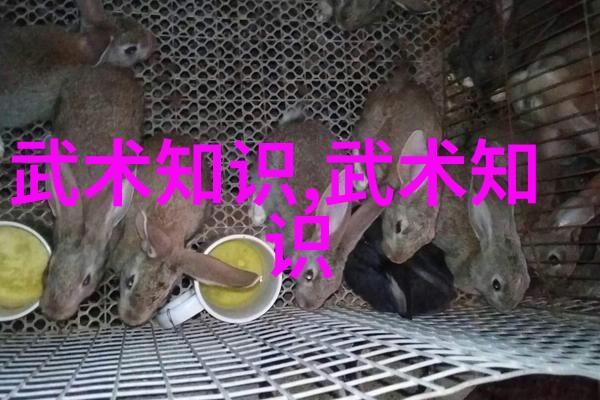 猎户家的俏媳妇星空下的爱情奇缘