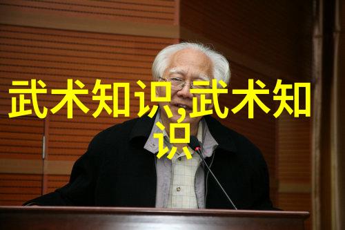 武术资料网探究传统武艺数字化保存与研究的新平台