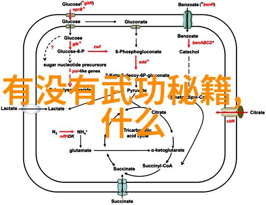 碧空清流社守护纯真的童年回忆