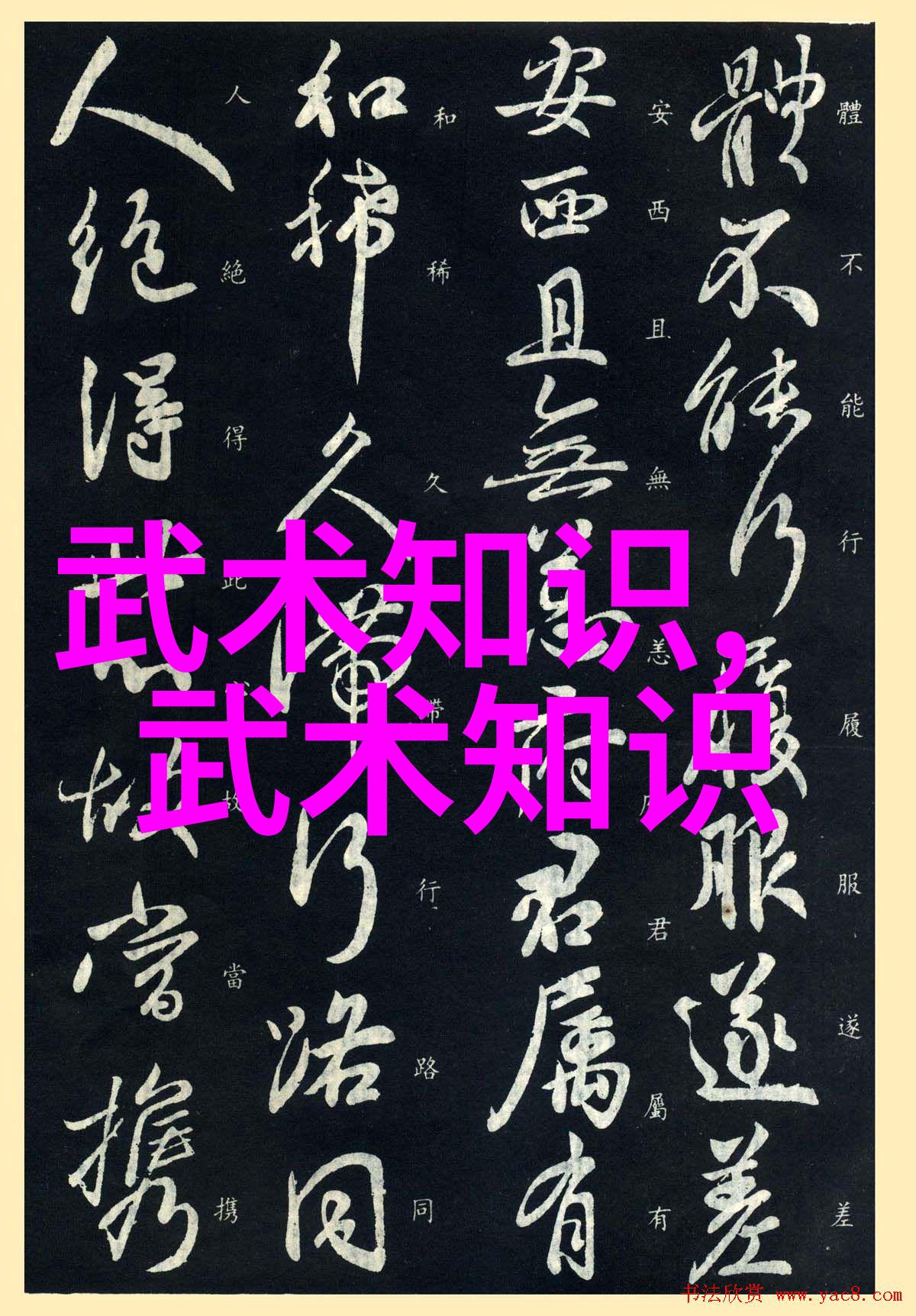 太极拳24式一步一步的教-揭秘太极拳24式从基础到精髓的全方位学习指南