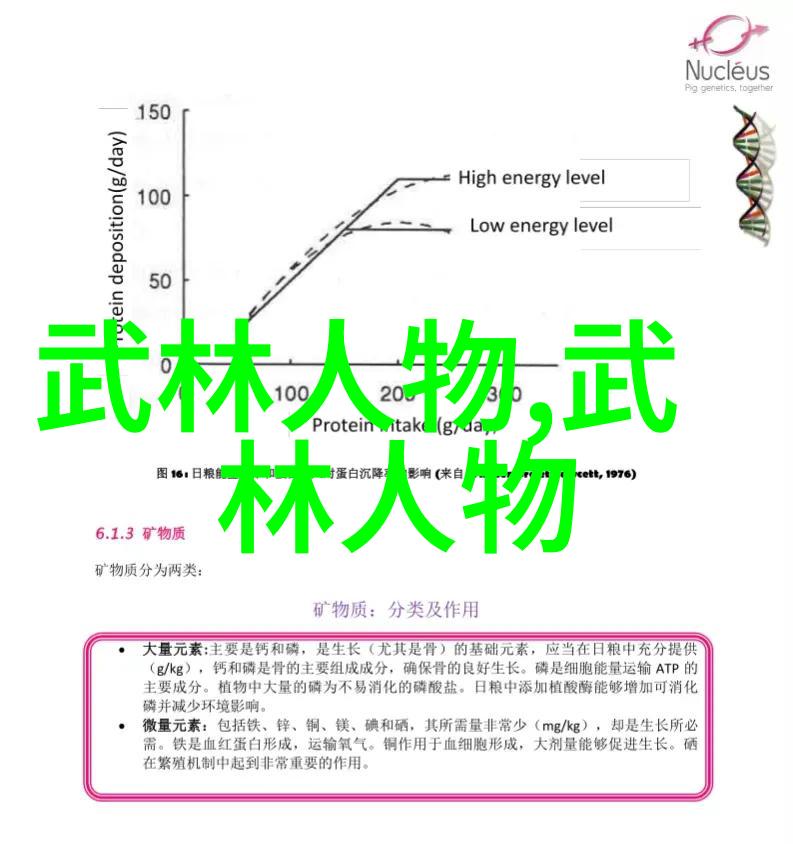 道法自然何需争斗第六问上古八大仙境中存在什么样的和平共处方式