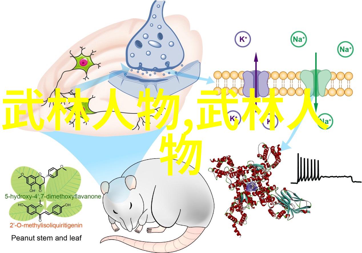 古老智慧解析古代修炼者创造出六个字之谜