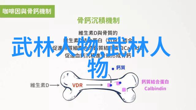 瑷瑷瑷探索传说中的奇迹