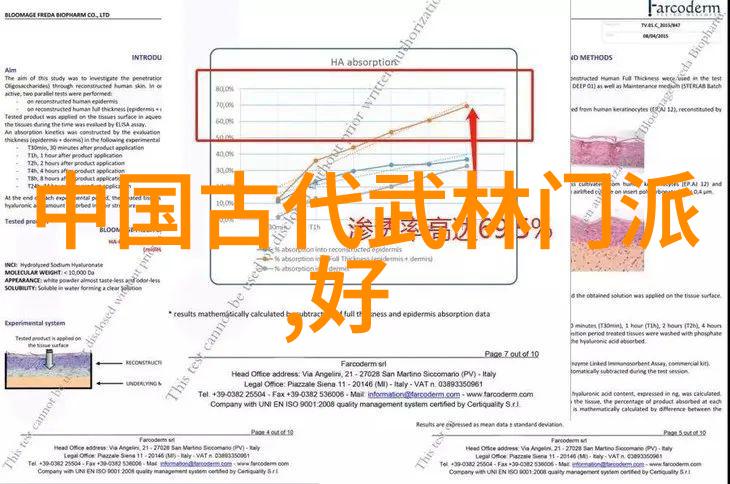 太极拳24式古老艺术的精华