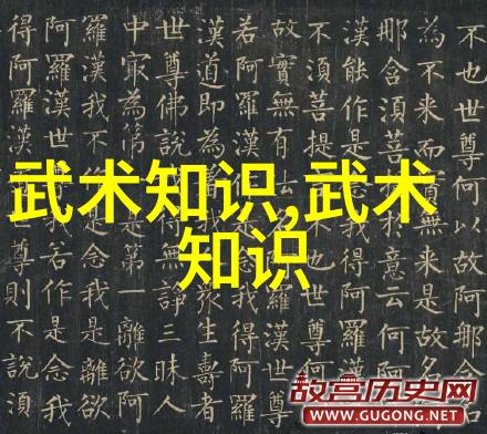 武林八大派之中苏家拳犹如一位精通武艺的老者静坐于门庭若市之中温和而不失威严