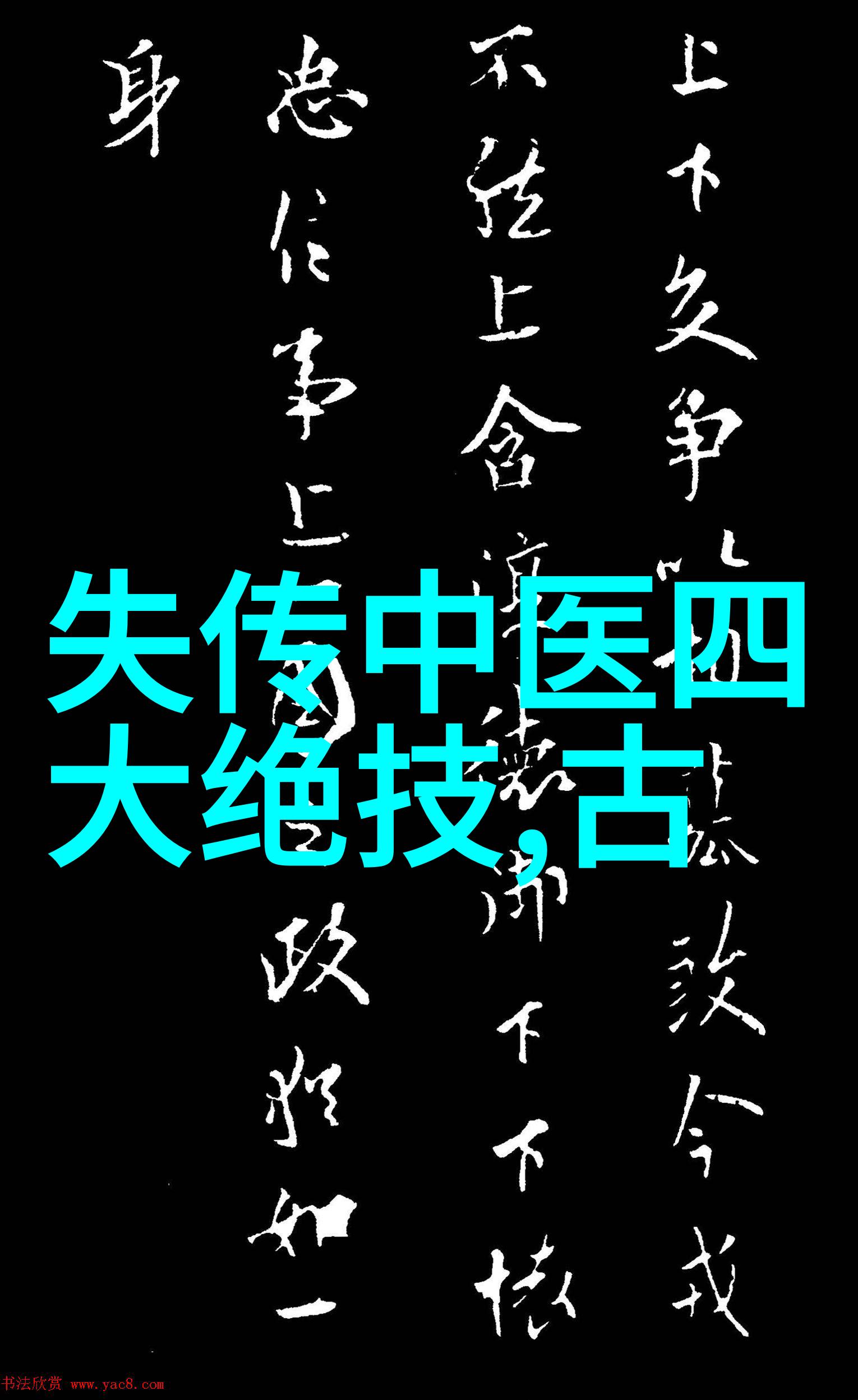 太极24式的双面智慧探索正反两面的深层含义