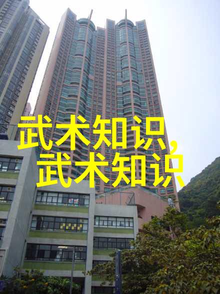 武道启航初学者必备的自学技巧与心法