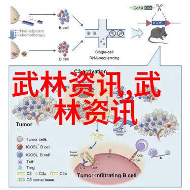 武术资料网中华武术文化资源库