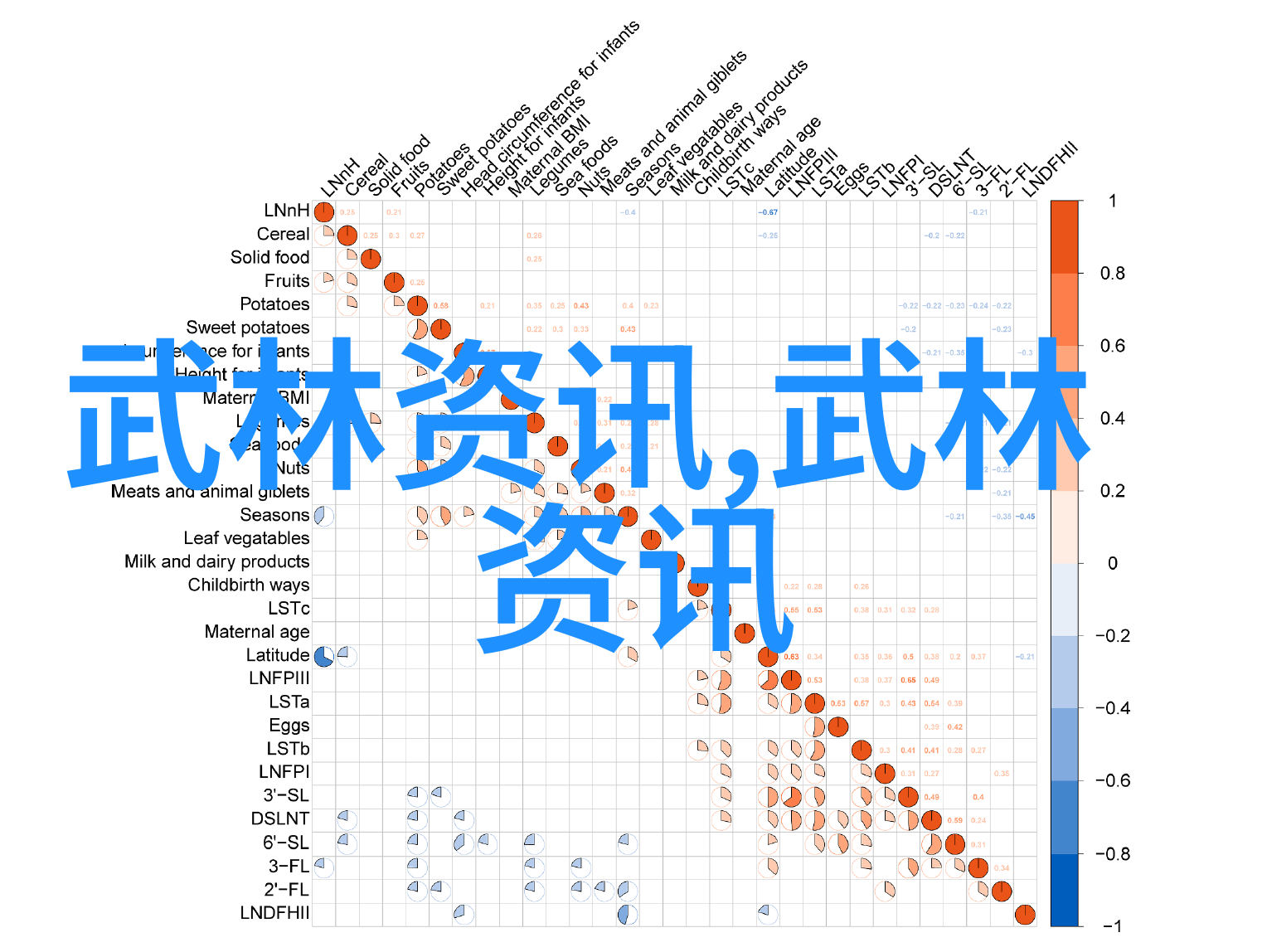 仙气纵横-取帮派名字大全点亮仙气的幽默与梦想