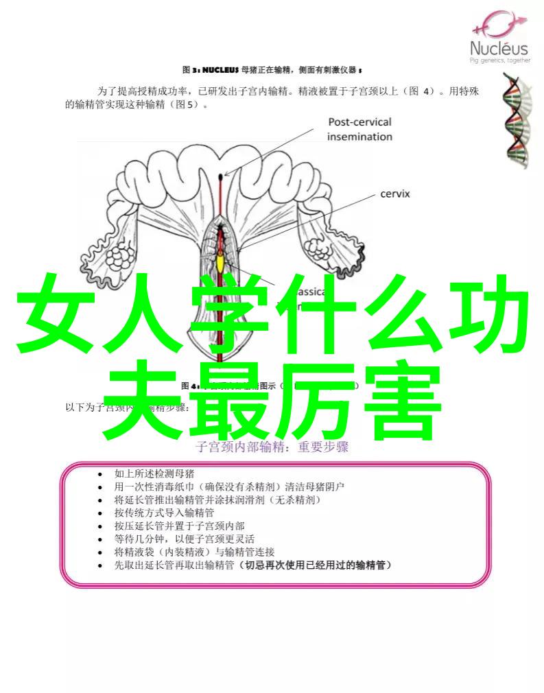 武术和武功之间存在怎样的联系和差异